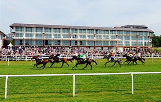 Lingfield Park Racecourse