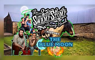 The Swamp Stomp String Band