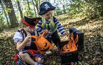 kids halloween candy hunts