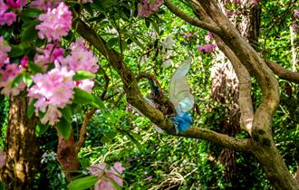 Fairy and Dragon Trail - Beaulieu