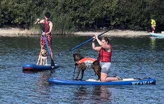 PUPS On SUPS - National Dog Day Celebrations