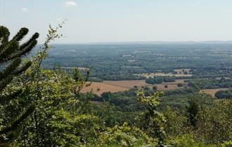 Leith Hill