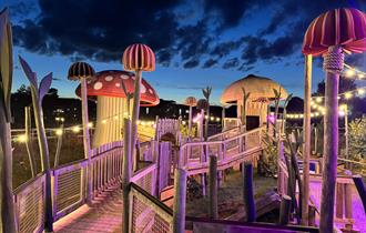 Illuminated Evenings 2025
