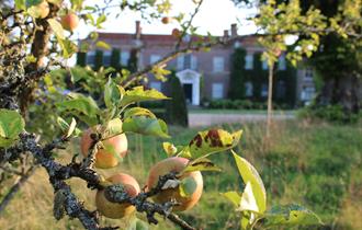 Apple Weekend with Sparsholt College