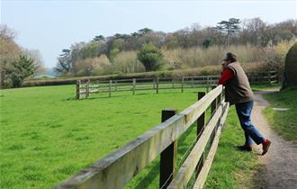 Man leaning on a fence overlooking green fields