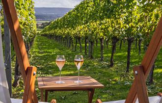 Deckchairs and a table with wine glasses in a vineyard