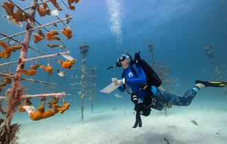 Jennifer Adler, Corals for the Future. Climate of Change Award