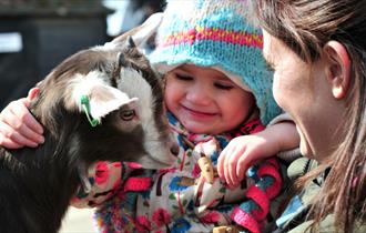 Kent Life Heritage Farm Park