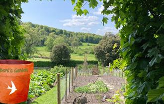 Gilbert's Garden: Kitchen Garden Planting Day