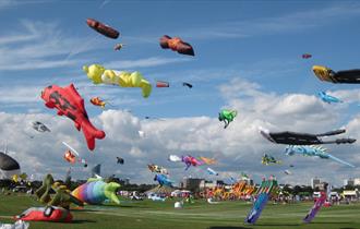 Photograph of kites in the air above Southsea Common for the Portsmouth International Kite Festival