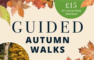 Leonardslee Autumn Guided Walks