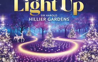 Light Up Sir Harold Hillier Gardens at Christmas