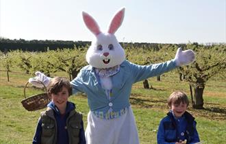 Discover Easter at Brogdale