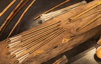 Tudor arrows