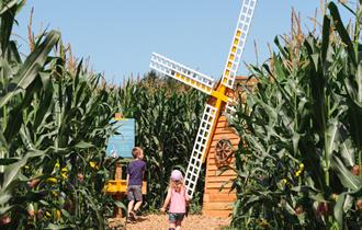 Cowdray Maize Maze