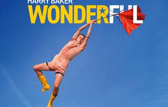 Harry Baker: Wonderful