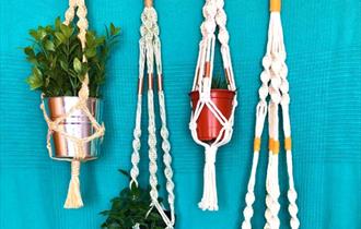 Macramé Plant Hanger Workshop