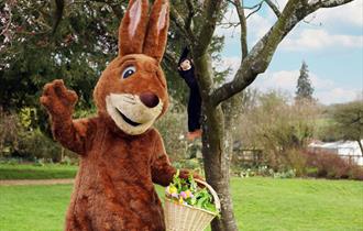 Easter Bunny