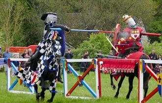 Knights jousting