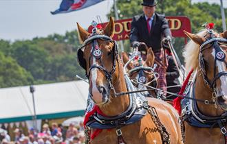 The New Forest and Hampshire County Show