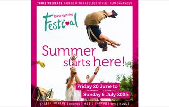 Basingstoke Festival