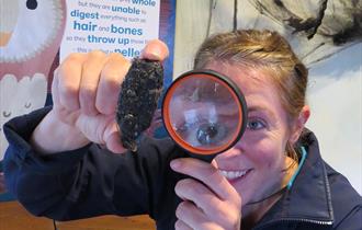 Nocturnal Nature Sessions for Homeschoolers