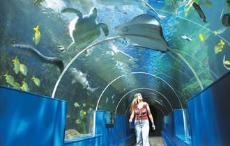 Oceanarium, The Bournemouth Aquarium