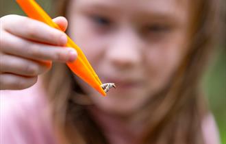 Super Natural Owl Pellet Workshops