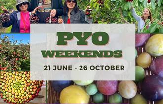 Pick-Your-Own-Fruit weekends