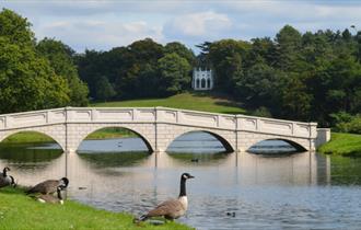 View of bridge at Painshill, with the Gothic Temple in the background.