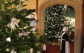 Festive Fun at Beaulieu