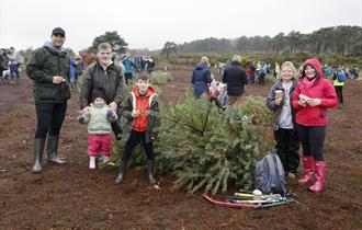 People gathering their trees at RSPB Arne