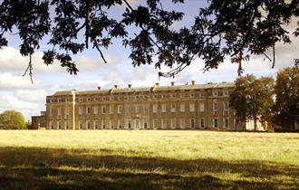 Petworth House and Parkland