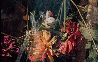 overlay of flowers