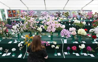 Spring Ornamental Plant Competitions