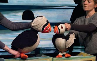 Puffling Percy