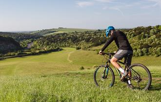 Mountain Biking at Queen Elizabeth Country Park