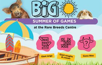 big summer of games graphic