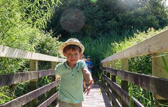 Boy on wooden boardwalk in a reedbed