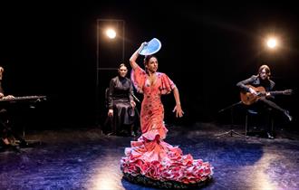 Rebeca Ortega Flamenco - Silences