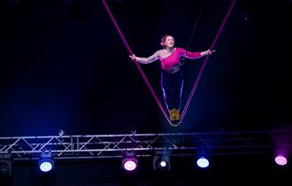 Trapeze artist performing trick