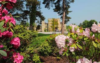 King's Coronation at Hever Castle