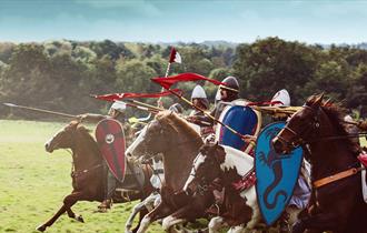 Coming from the right of the screen, knights in armour charging on horseback, green field in background and to left.