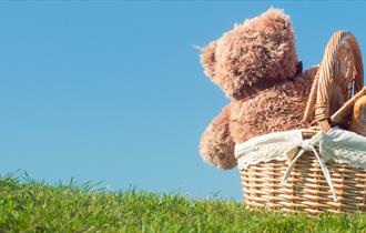 Teddy Bear's Picnic