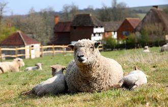 Easter Holiday Activities at Weald & Downland Living Museum