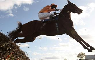 Sandown Park Racecourse