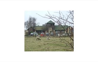 Sandwich Bay Bird Observatory & Field Centre