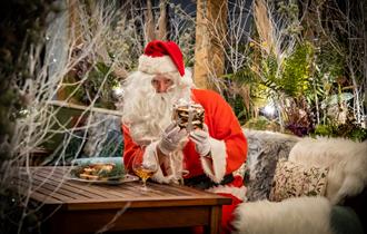 Santa with gift
