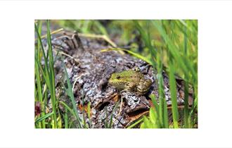 Sevenoaks Wildlife Reserve and Visitor Centre