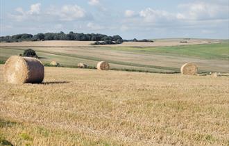 South Downs